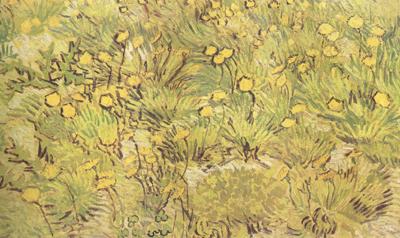 A Field of Yellow Flowers (nn04), Vincent Van Gogh